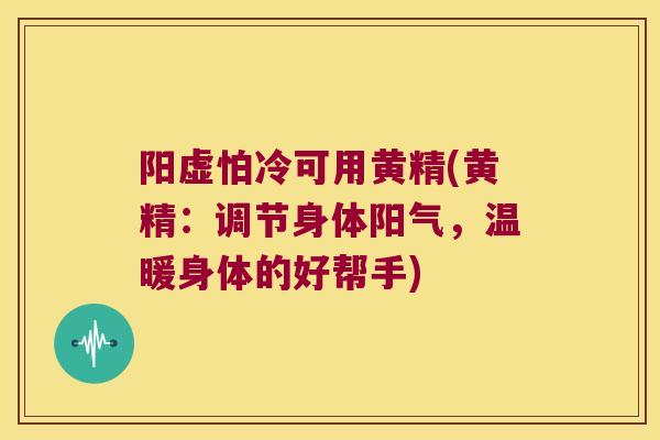 阳虚怕冷可用黄精(黄精：调节身体阳气，温暖身体的好帮手)