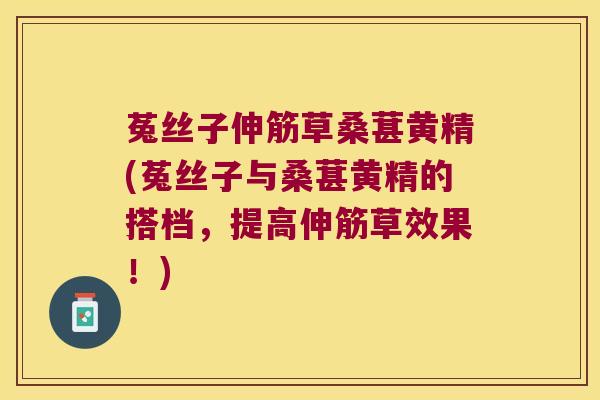 菟丝子伸筋草桑葚黄精(菟丝子与桑葚黄精的搭档，提高伸筋草效果！)