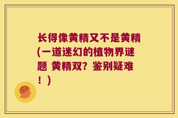 长得像黄精又不是黄精(一道迷幻的植物界谜题 黄精双？鉴别疑难！)