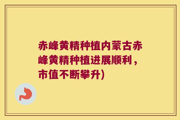 赤峰黄精种植内蒙古赤峰黄精种植进展顺利，市值不断攀升)