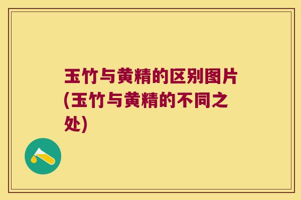 玉竹与黄精的区别图片(玉竹与黄精的不同之处) 玉竹与黄精的区别图片(玉竹与黄精的不同之处)