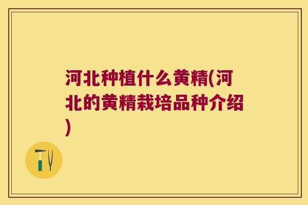 河北种植什么黄精(河北的黄精栽培品种介绍) 河北种植什么黄精(河北的黄精栽培品种介绍)