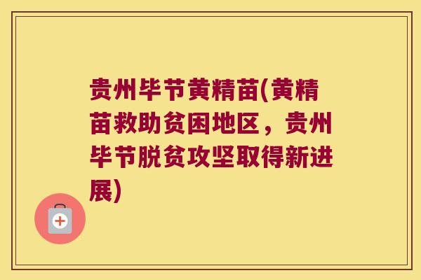 贵州毕节黄精苗(黄精苗救助贫困地区,贵州毕节脱贫攻坚取得新进展) 贵州毕节黄精苗(黄精苗救助贫困地区,贵州毕节脱贫攻坚取得新进展)