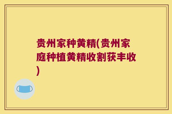 贵州家种黄精(贵州家庭种植黄精收割获丰收) 贵州家种黄精(贵州家庭种植黄精收割获丰收)