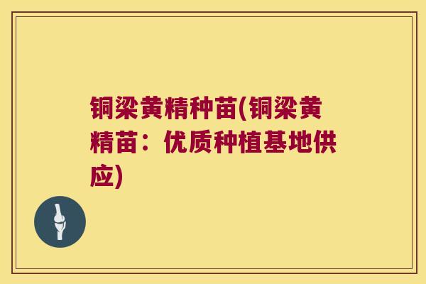 铜梁黄精种苗(铜梁黄精苗：优质种植基地供应)