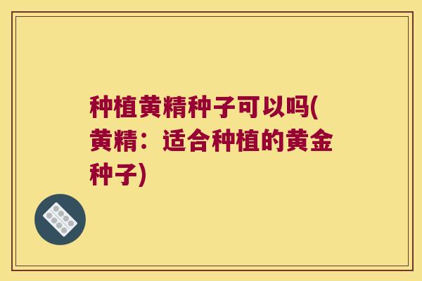 种植黄精种子可以吗(黄精：适合种植的黄金种子)