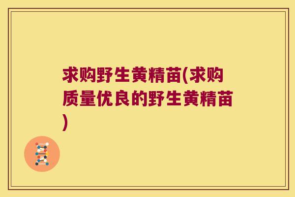 求购野生黄精苗(求购质量优良的野生黄精苗)