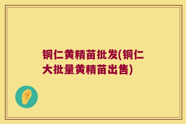 铜仁黄精苗批发(铜仁大批量黄精苗出售)