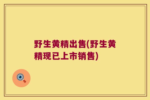 野生黄精出售(野生黄精现已上市销售) 野生黄精出售(野生黄精现已上市销售)