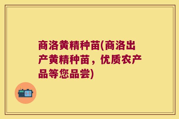 商洛黄精种苗(商洛出产黄精种苗,优质农产品等您品尝) 商洛黄精种苗(商洛出产黄精种苗,优质农产品等您品尝)