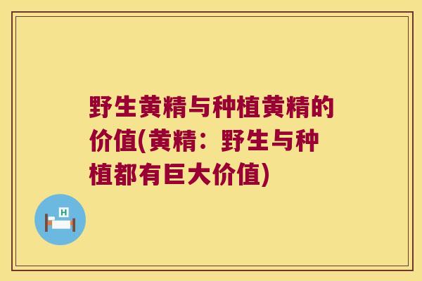 野生黄精与种植黄精的价值(黄精:野生与种植都有巨大价值) 野生黄精与种植黄精的价值(黄精:野生与种植都有巨大价值)