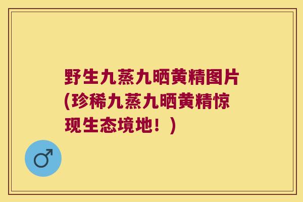 野生九蒸九晒黄精图片(珍稀九蒸九晒黄精惊现生态境地!) 野生九蒸九晒黄精图片(珍稀九蒸九晒黄精惊现生态境地!)