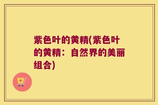 紫色叶的黄精(紫色叶的黄精:自然界的美丽组合) 紫色叶的黄精(紫色叶的黄精:自然界的美丽组合)