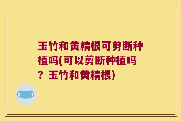 玉竹和黄精根可剪断种植吗(可以剪断种植吗？玉竹和黄精根)