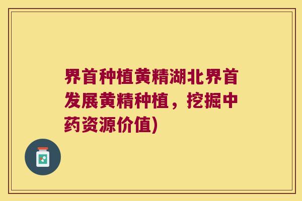 界首种植黄精湖北界首发展黄精种植,挖掘资源价值) 界首种植黄精湖北界首发展黄精种植,挖掘资源价值)