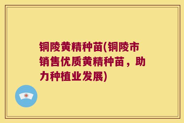 铜陵黄精种苗(铜陵市销售优质黄精种苗,助力种植业发展) 铜陵黄精种苗(铜陵市销售优质黄精种苗,助力种植业发展)