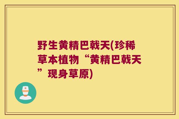 野生黄精巴戟天(珍稀草本植物“黄精巴戟天”现身草原)