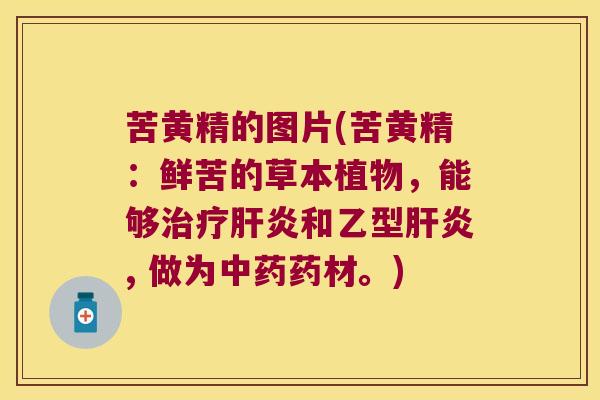 苦黄精的图片(苦黄精:鲜苦的草本植物,能够和乙型, 做为药材。) 苦黄精的图片(苦黄精:鲜苦的草本植物,能够和乙型, 做为药材。)