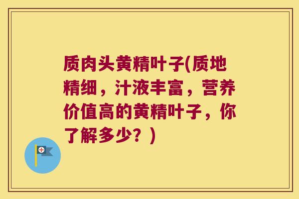 质肉头黄精叶子(质地精细,汁液丰富,营养价值高的黄精叶子,你了解多少?) 质肉头黄精叶子(质地精细,汁液丰富,营养价值高的黄精叶子,你了解多少?)