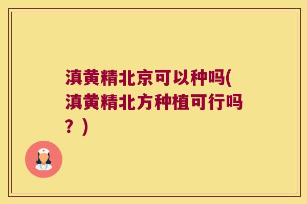 滇黄精北京可以种吗(滇黄精北方种植可行吗？)