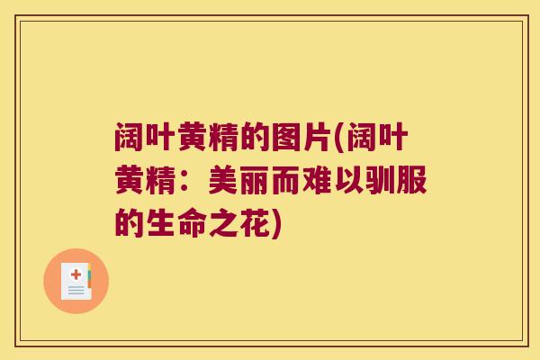 阔叶黄精的图片(阔叶黄精:美丽而难以驯服的生命之花) 阔叶黄精的图片(阔叶黄精:美丽而难以驯服的生命之花)