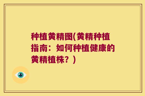 种植黄精图(黄精种植指南:如何种植健康的黄精植株?) 种植黄精图(黄精种植指南:如何种植健康的黄精植株?)