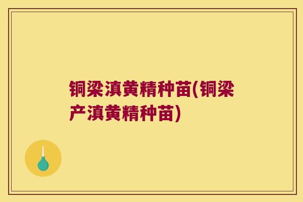 铜梁滇黄精种苗(铜梁产滇黄精种苗) 铜梁滇黄精种苗(铜梁产滇黄精种苗)