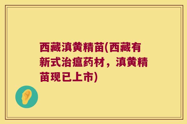 西藏滇黄精苗(西藏有新式瘟药材，滇黄精苗现已上市)
