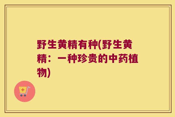 野生黄精有种(野生黄精：一种珍贵的植物)