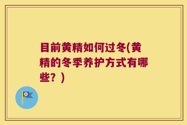 目前黄精如何过冬(黄精的冬季养护方式有哪些？)
