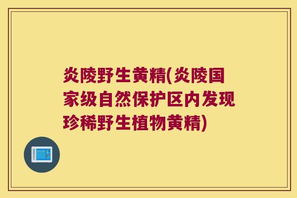 炎陵野生黄精(炎陵国家级自然保护区内发现珍稀野生植物黄精) 炎陵野生黄精(炎陵国家级自然保护区内发现珍稀野生植物黄精)