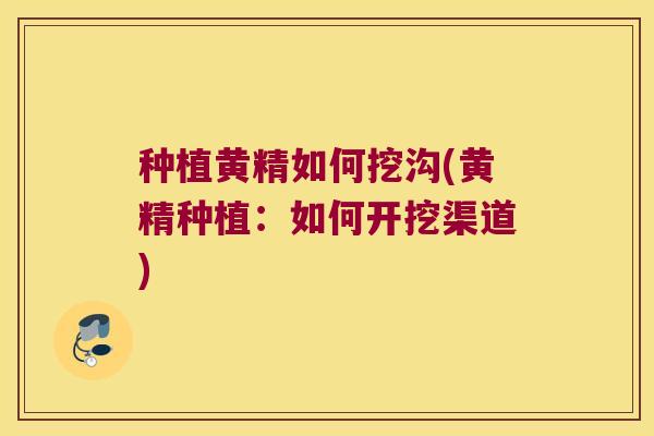 种植黄精如何挖沟(黄精种植：如何开挖渠道)