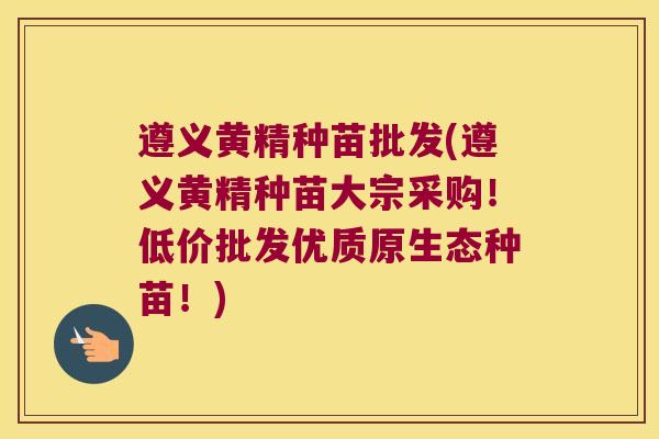 遵义黄精种苗批发(遵义黄精种苗大宗采购！低价批发优质原生态种苗！)