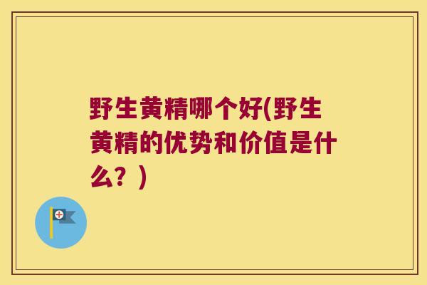 野生黄精哪个好(野生黄精的优势和价值是什么?) 野生黄精哪个好(野生黄精的优势和价值是什么?)