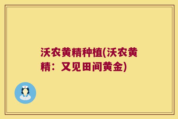 沃农黄精种植(沃农黄精：又见田间黄金)