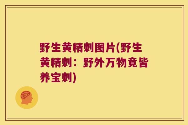 野生黄精刺图片(野生黄精刺：野外万物竟皆养宝刺)