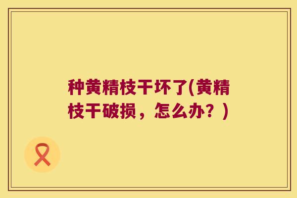 种黄精枝干坏了(黄精枝干破损，怎么办？)