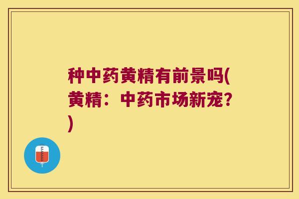 种黄精有前景吗(黄精:市场新宠?) 种黄精有前景吗(黄精:市场新宠?)