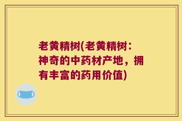 老黄精树(老黄精树：神奇的材产地，拥有丰富的药用价值)