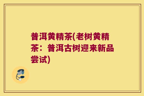 普洱黄精茶(老树黄精茶:普洱古树迎来新品尝试) 普洱黄精茶(老树黄精茶:普洱古树迎来新品尝试)