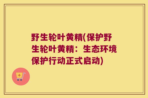 野生轮叶黄精(保护野生轮叶黄精：生态环境保护行动正式启动)