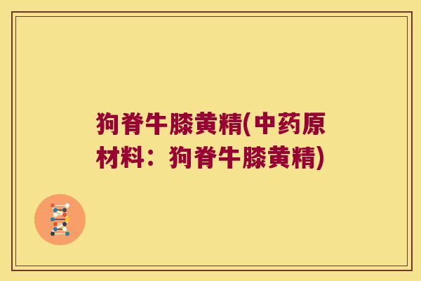 狗脊牛膝黄精(原材料：狗脊牛膝黄精)