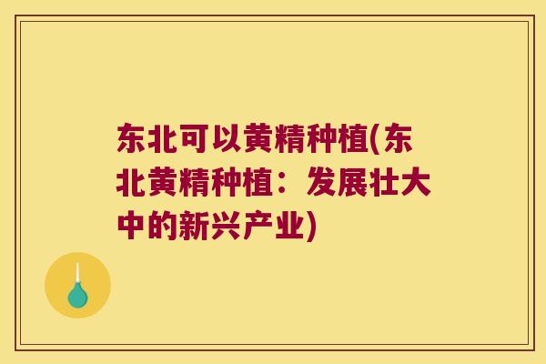 东北可以黄精种植(东北黄精种植：发展壮大中的新兴产业)