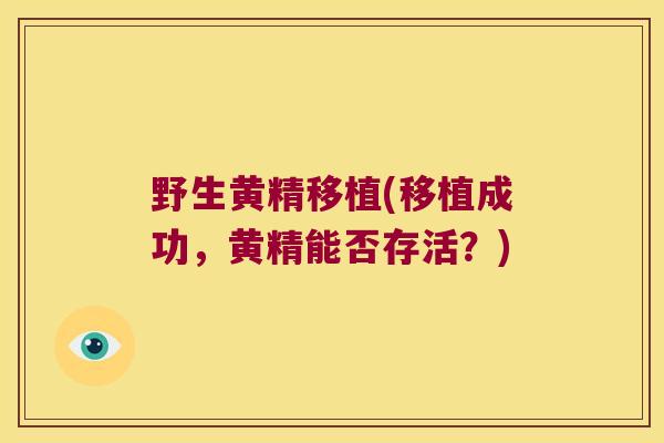 野生黄精移植(移植成功，黄精能否存活？)