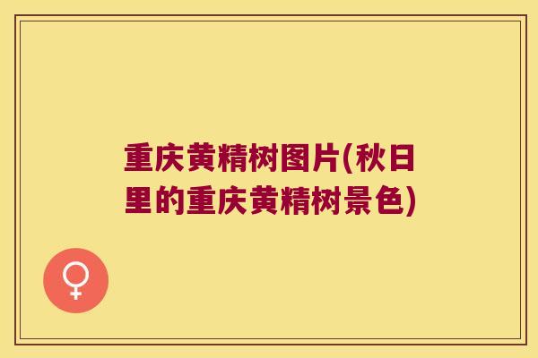 重庆黄精树图片(秋日里的重庆黄精树景色) 重庆黄精树图片(秋日里的重庆黄精树景色)