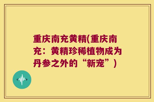 重庆南充黄精(重庆南充:黄精珍稀植物成为丹参之外的“新宠”) 重庆南充黄精(重庆南充:黄精珍稀植物成为丹参之外的“新宠”)