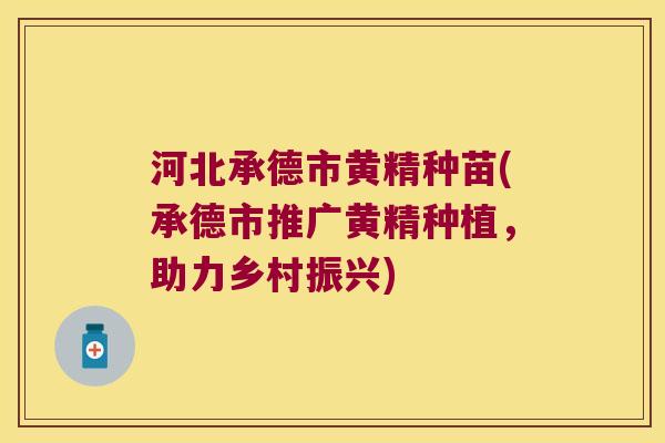 河北承德市黄精种苗(承德市推广黄精种植,助力乡村振兴) 河北承德市黄精种苗(承德市推广黄精种植,助力乡村振兴)