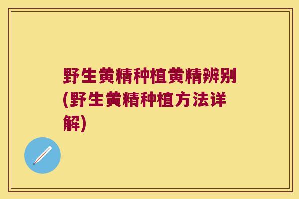 野生黄精种植黄精辨别(野生黄精种植方法详解)