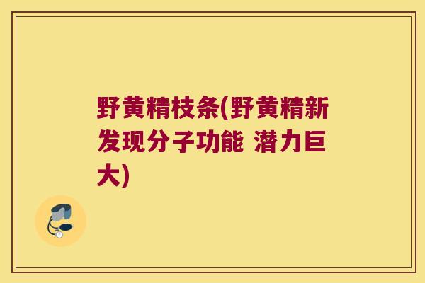 野黄精枝条(野黄精新发现分子功能 潜力巨大) 野黄精枝条(野黄精新发现分子功能 潜力巨大)