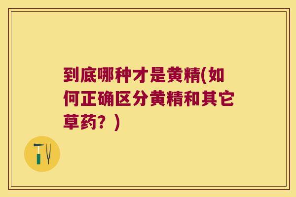 到底哪种才是黄精(如何正确区分黄精和其它草药？)